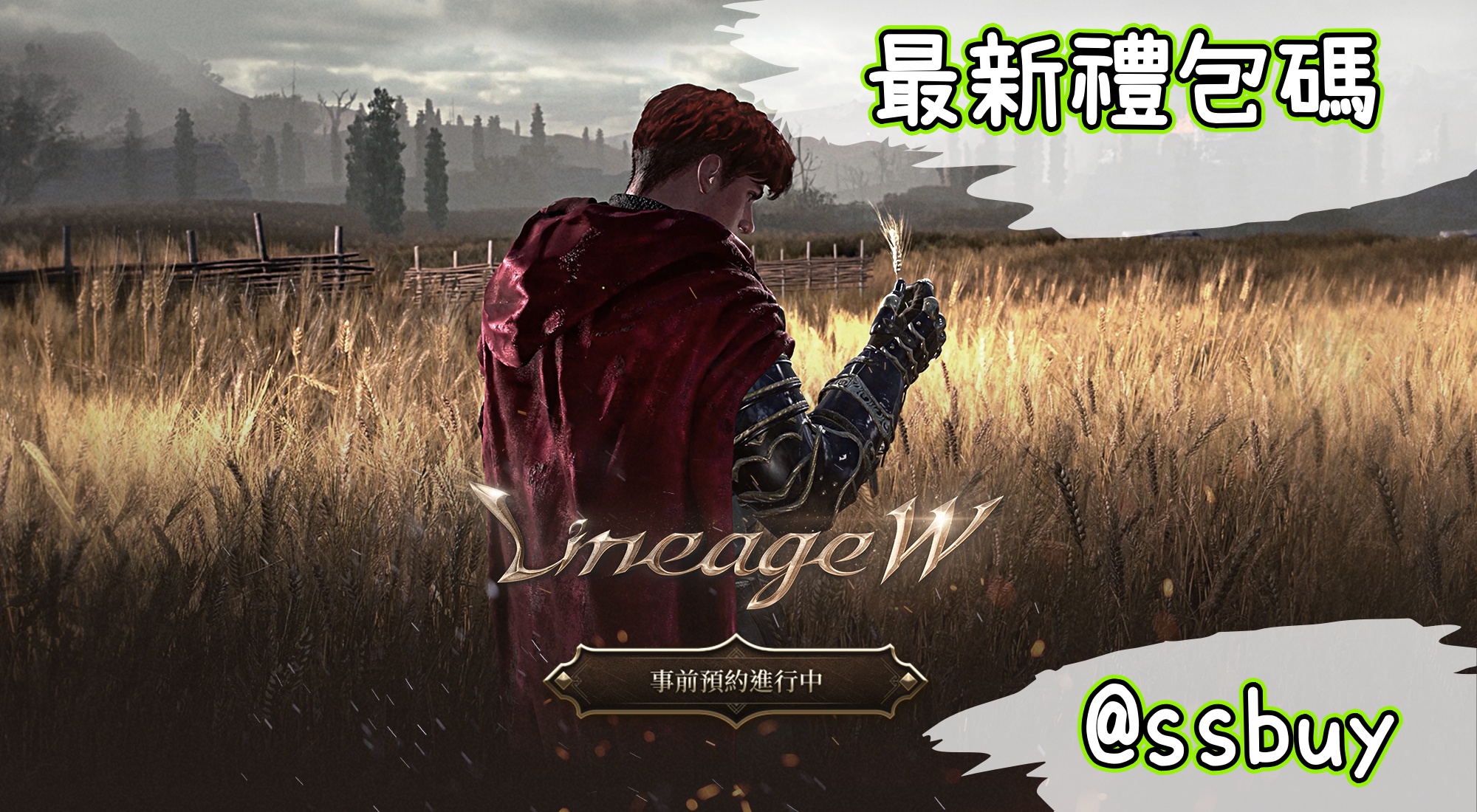 天堂W Banner